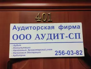 Фотография АУДИТ СП 1